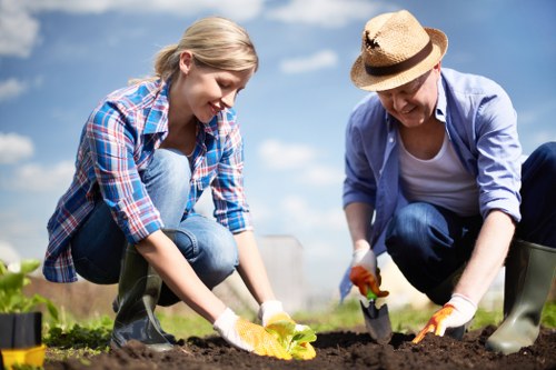 Comprehensive garden clearance services offered in Balham