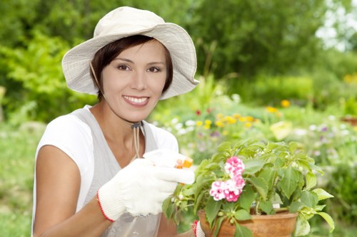 Free quote paperwork and transparent price breakdown for Balham gardening services