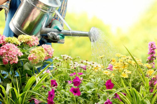 Spring garden preparation in Balham with blooming flowers