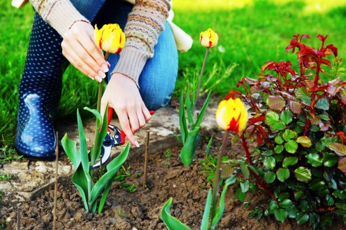 Seasonal hedge trimming practices for healthy gardens.