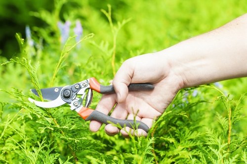 Techniques used in effective hedge trimming.