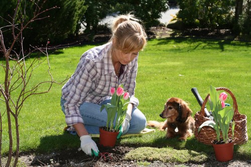 Transformative garden project by Gardening Balham