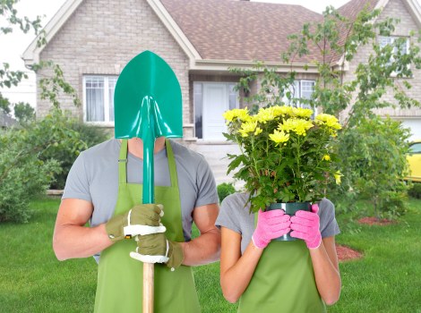 Balanced garden maintenance services in Balham