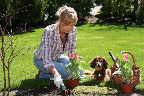 Eco-friendly tree care practices by professionals