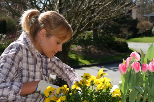 Benefits of garden clearance with improved aesthetics and safety