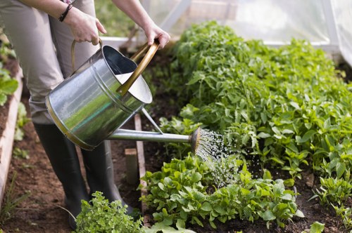 Choosing the right hedge trimming service in Balham.