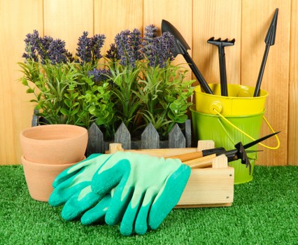 Balham lawn care equipment and tools