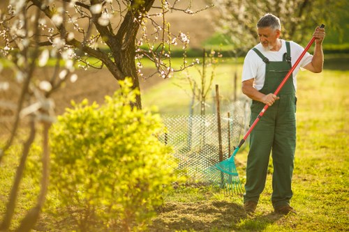Professional hedge trimming in a Balham residential garden